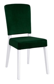 Стул для столовой Alameda, белый/зеленый, 47.5 см x 58 см x 95 см