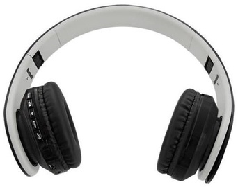 Ausinės Qoltec Wireless Stereo Headset Black