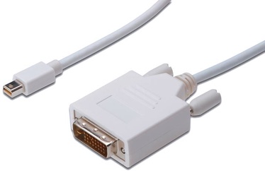 Assmann Adapter Cable Displayport-mini / DVI-D 1m