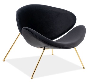 Fotelis Signal Meble Major Velvet Black/Gold, 84x49x72 cm