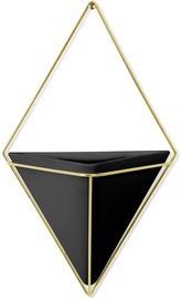 Umbra Trigg Wall Decor Large Black/Brass 2pcs