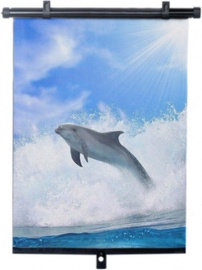 Bottari Dolphin Side Roller Blinds