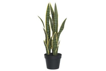Kunstlill Sansevierias 4Living 68cm