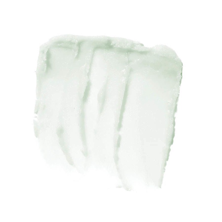Бальзам для губ E.l.f. Cosmetics Lip Exfoliator Mint Maniac