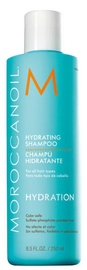 Šampūnas Moroccanoil Hydrating, 250 ml