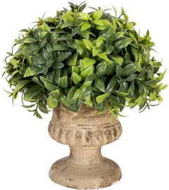 Искусственный цветок Home4You Buxus Plant In Pot H20cm