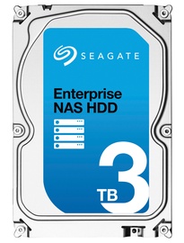NAS kietasis diskas Seagate, 8000 GB