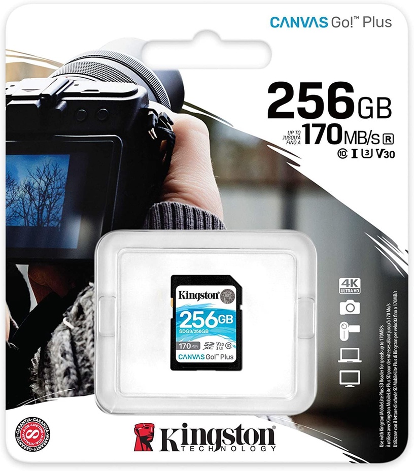 Mälukaart Kingston Canvas Go! Plus, 256 GB, 170 Mb/s - 90 Mb/s