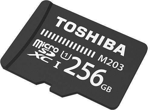 Mälukaart Toshiba M203, 256 GB