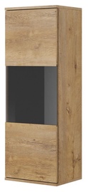 Halmar Nest W-1 Display Cabinet Oak/Black