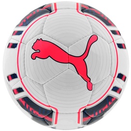 Puma EvoPower Futsal 4 White Navy Pink