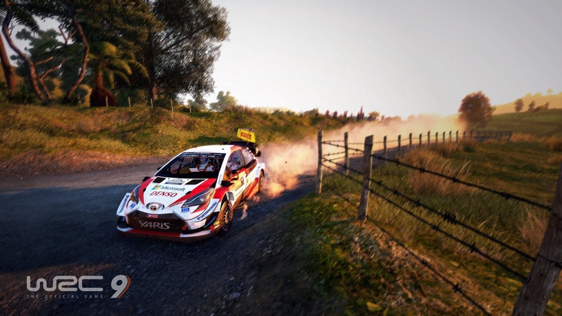 Nintendo Switch žaidimas Bigben Interactive WRC 9: FIA World Rally  Championship