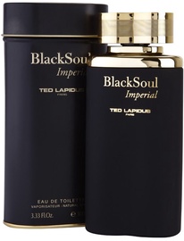 Tualetes ūdens Ted Lapidus Black Soul Imperial 100ml EDT