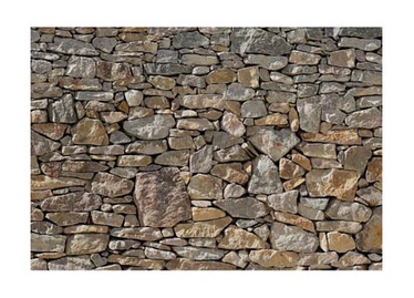 FOTOTAPETE 8-727 368X254CM