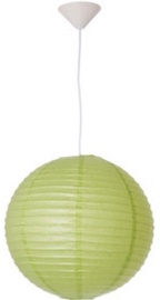 IC Lite Paper 391879 Green