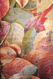 Paklājs Domoletti Sherpa 80-D DW6, daudzkrāsaina, 235 cm x 160 cm
