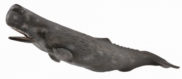 Žaislinė figūrėlė Collecta Sperm Whale 88835
