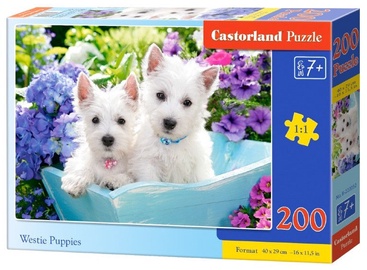 Puzle Castorland Westie Puppies 200pcs, 40 cm x 29 cm