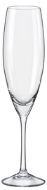 Bohemia Champagne Glass Sophia 230ml 6pcs