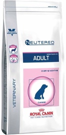Royal Canin Neutered Adult Dog Weight & Skin 10kg