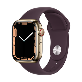 Nutikell Apple Watch Series 7 GPS + LTE 41mm Stainless Steel, kuldne