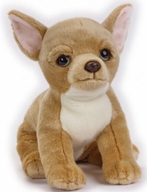 Dante National Geographics Chiwawa 24cm