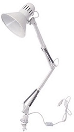 Verners Student DSL-028C_WHITE