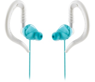 Ausinės JBL Focus 300 Turqoise