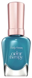 Sally Hansen Color Therapy Nail Polish 14.7ml 460