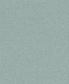 Viniliniai tapetai Rasch Cato 800418
