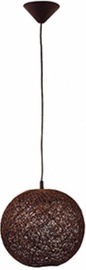 ALFA ABAKA 12601 Brown