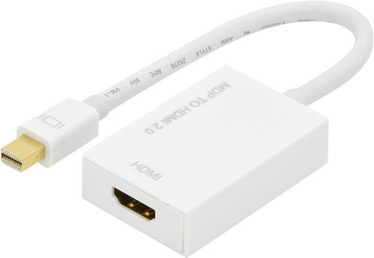 Ednet Active Mini DisplayPort to HDMI Adapter 84498