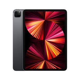 Планшет Apple iPad Pro 11" Wi-Fi 128GB Space Gray 2021
