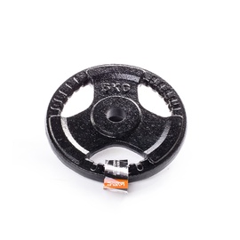 Diskinis svoris grifui LS2102, 5 kg