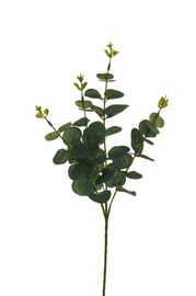 Kunstoks, eukalüpt, roheline, 620 mm