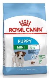 Sausā suņu barība Royal Canin SHN Mini Junior, vistas gaļa, 8 kg