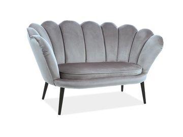 Dīvāns Signal Meble Magnolia 2 Velvet Sofa Grey/Wenge, 85 x 152 x 87 cm