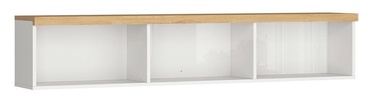 Black Red White Erla SFW Shelf 158cm White/Minerva Oak