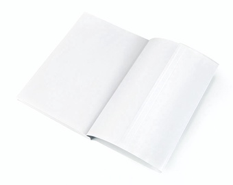 Kaaned Panta Plast 0302-0078-00, 550 mm x 310 mm, 10 tk