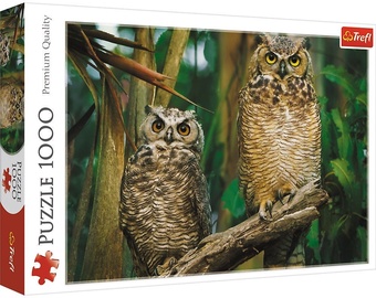 Puzle Trefl Premium Quality Owls 736034, 1000 gab.