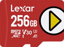 Mälukaart Lexar Play, 256 GB