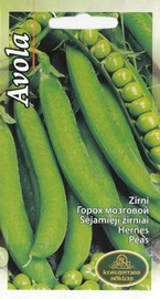Sēklas zirņi avola