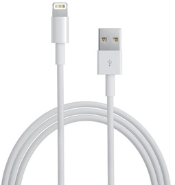 Vads Apple, USB 2.0 Type A/Apple Lightning