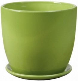 Polnix 02.445.15 Green