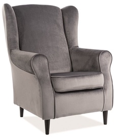 Signal Meble Baron Velvet Armchair Gray