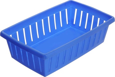 Curver Hobby 24x15x7cm Blue