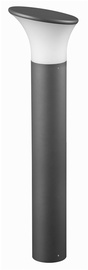 Pastatomasis šviestuvas Domoletti GL11407, 1x23W, E27