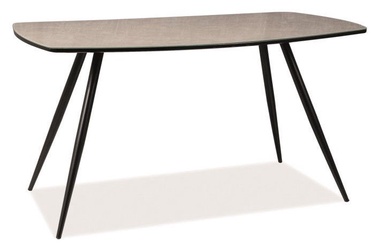 Kavos staliukas Signal Meble Senso Grey, 1400x800x750 mm