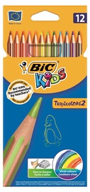 Värvilised pliiatsid 8325666 12tk