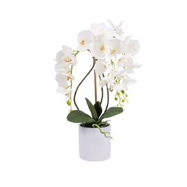 Dirbtinė orchidėja vazone, 60 cm